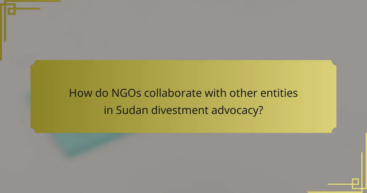 How do NGOs collaborate with other entities in Sudan divestment advocacy?