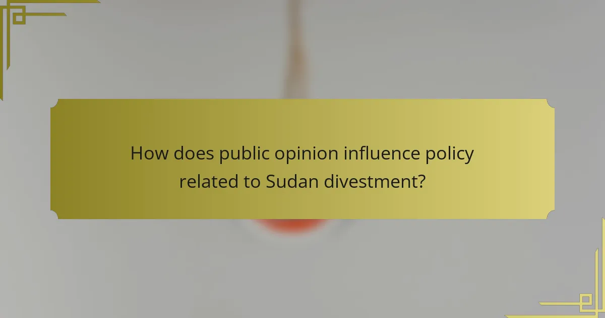 How does public opinion influence policy related to Sudan divestment?