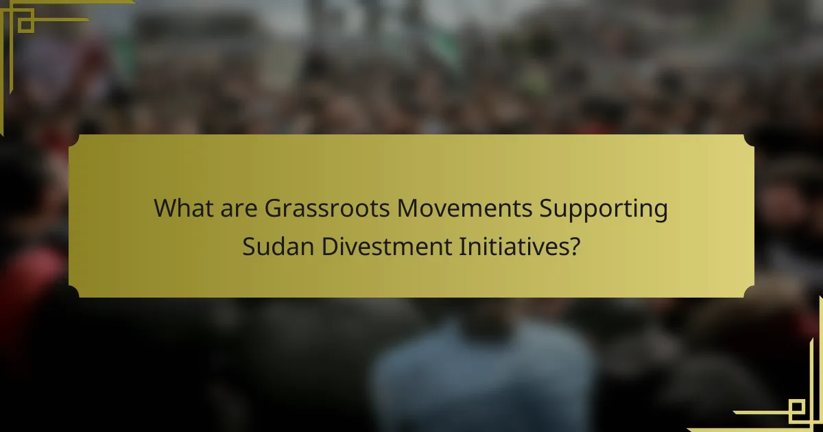 What are Grassroots Movements Supporting Sudan Divestment Initiatives?