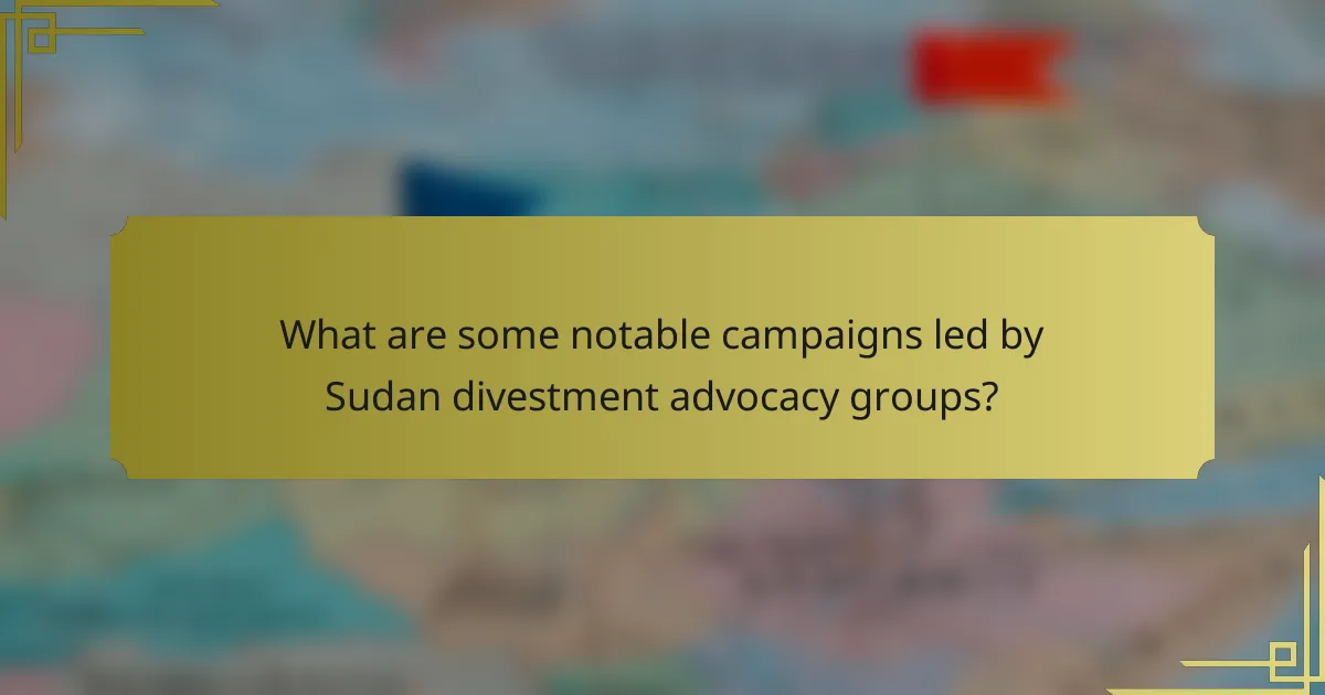 What are some notable campaigns led by Sudan divestment advocacy groups?