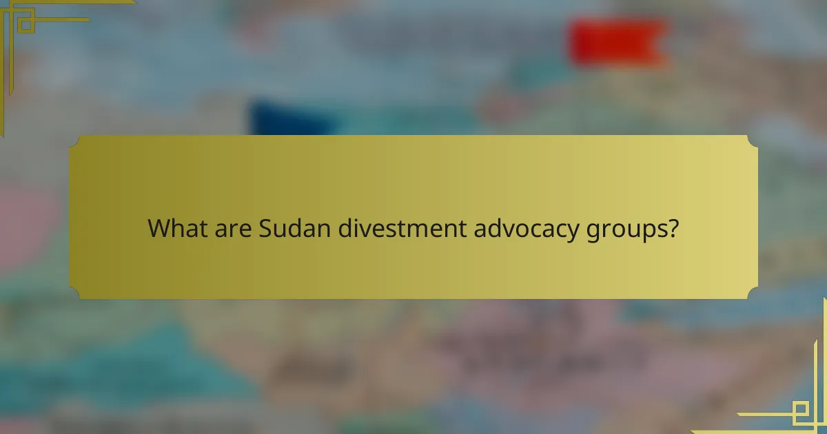 What are Sudan divestment advocacy groups?