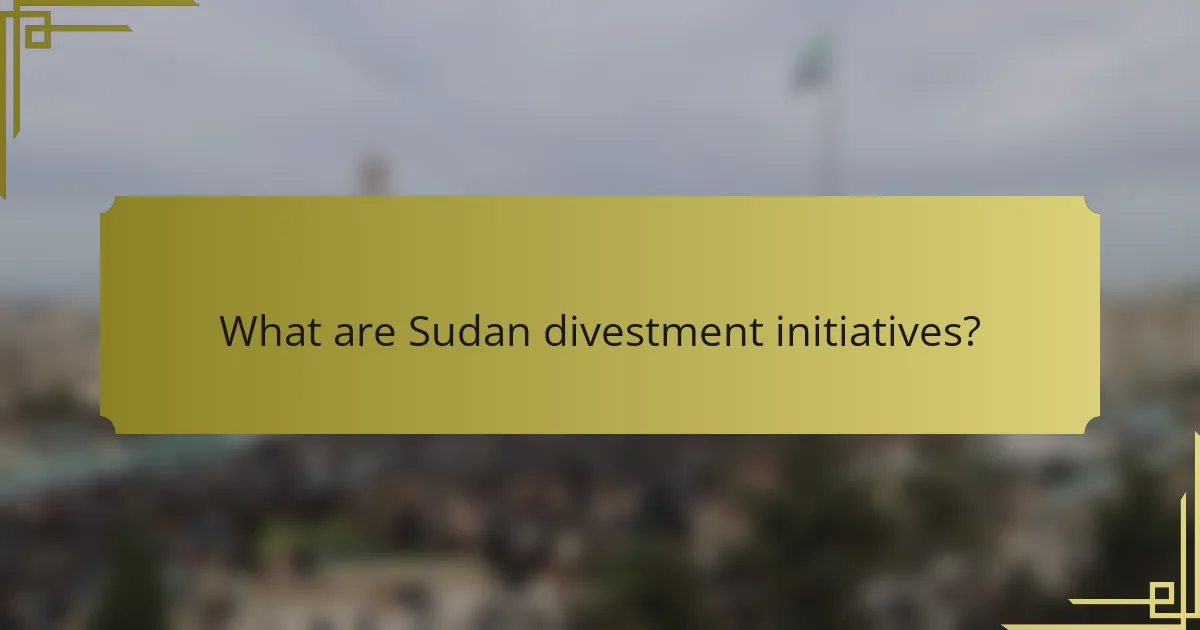 What are Sudan Divestment Initiatives?