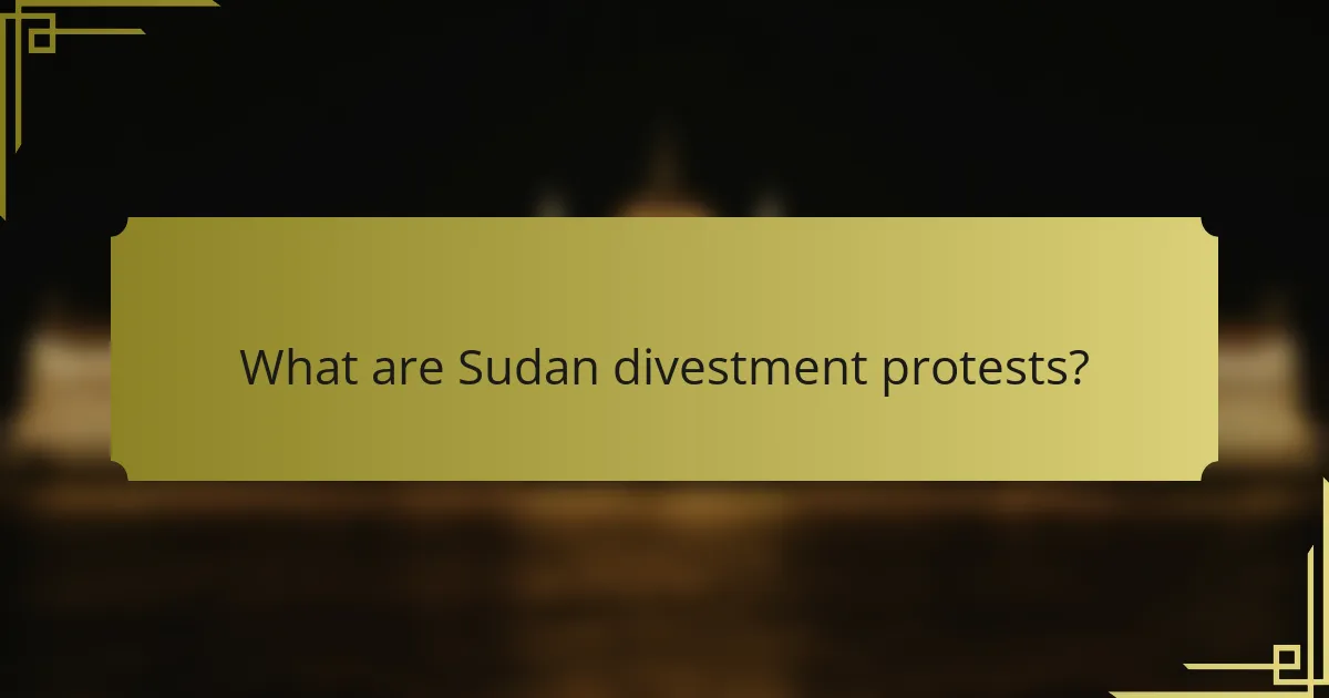 What are Sudan divestment protests?