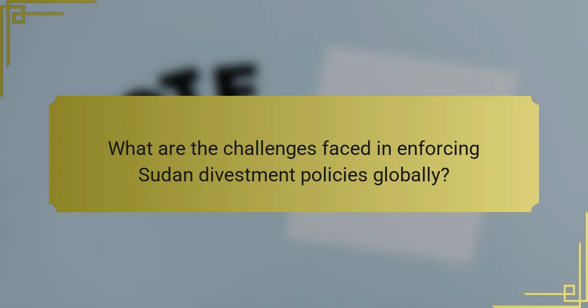 What are the challenges faced in enforcing Sudan divestment policies globally?