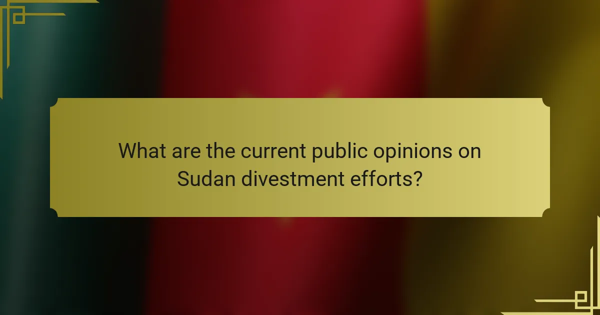 What are the current public opinions on Sudan divestment efforts?
