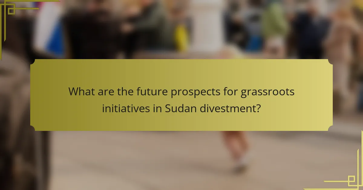 What are the future prospects for grassroots initiatives in Sudan divestment?