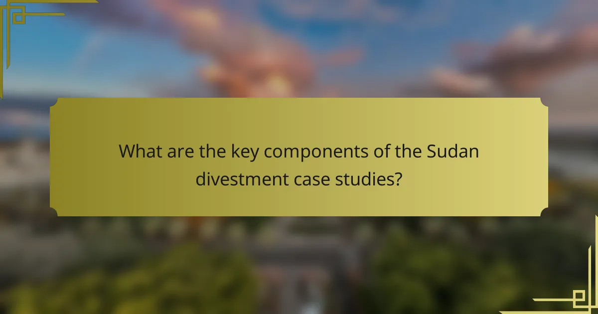 What are the key components of the Sudan divestment case studies?