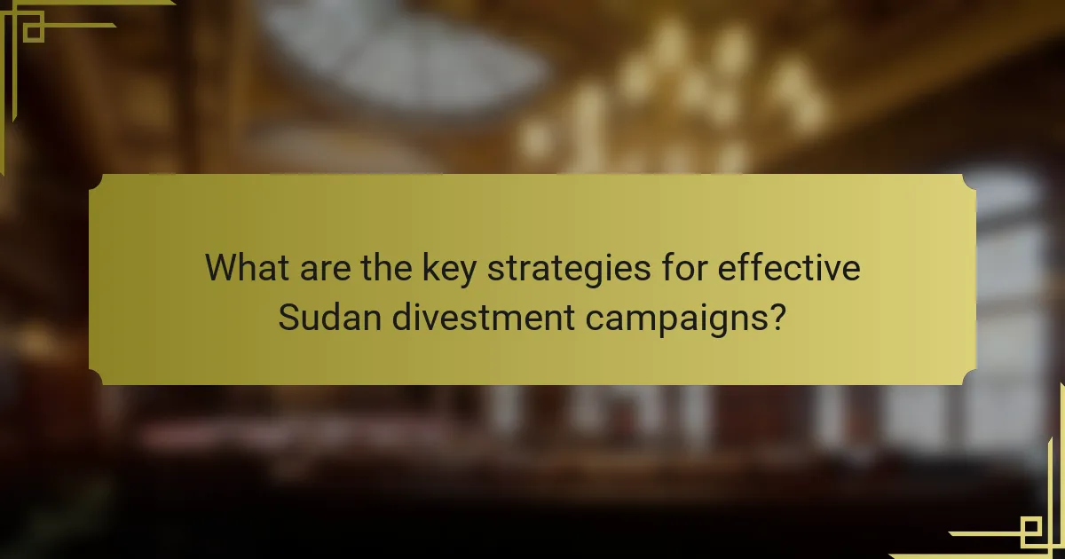 What are the key strategies for effective Sudan divestment campaigns?