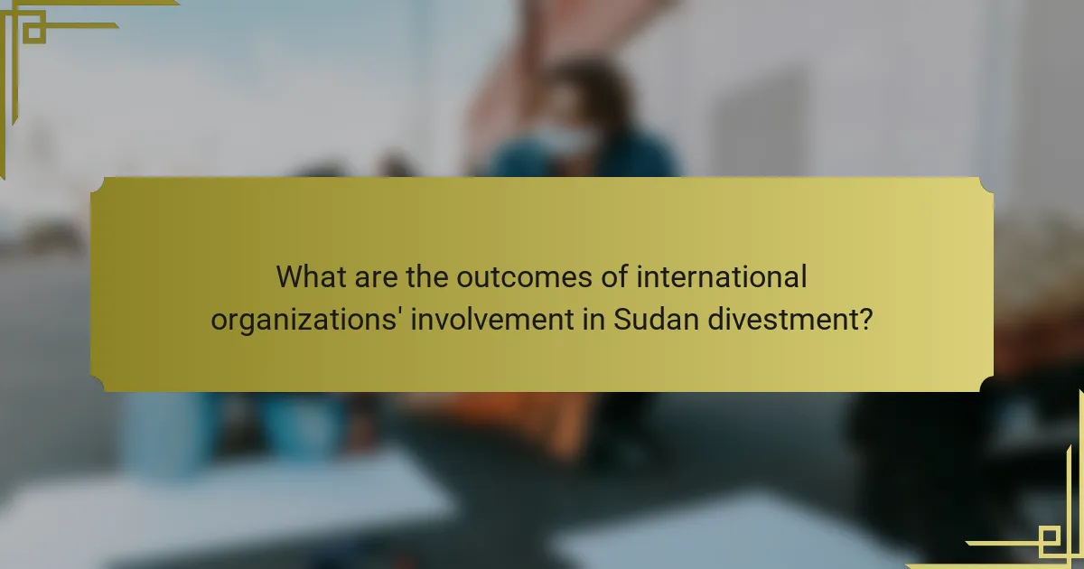 What are the outcomes of international organizations' involvement in Sudan divestment?