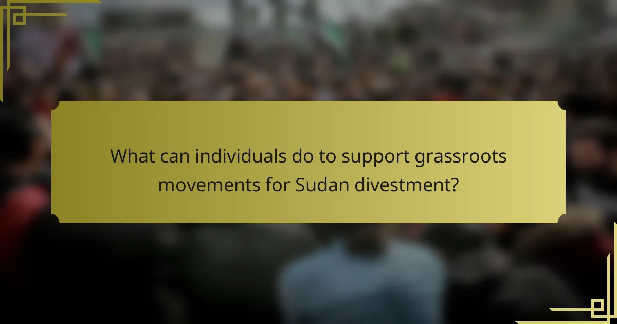 What can individuals do to support grassroots movements for Sudan divestment?