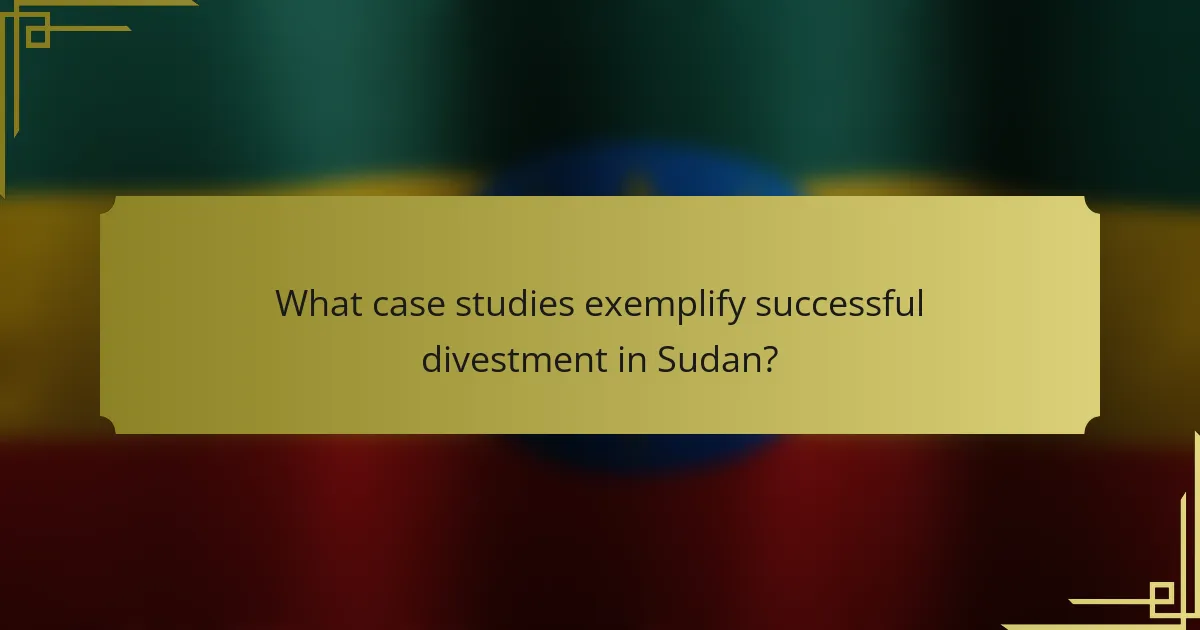 What case studies exemplify successful divestment in Sudan?