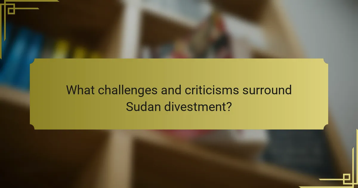 What challenges and criticisms surround Sudan divestment?