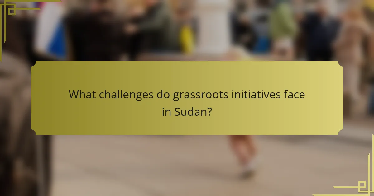 What challenges do grassroots initiatives face in Sudan?