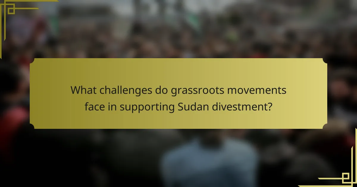 What challenges do grassroots movements face in supporting Sudan divestment?