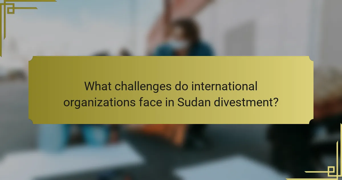 What challenges do international organizations face in Sudan divestment?