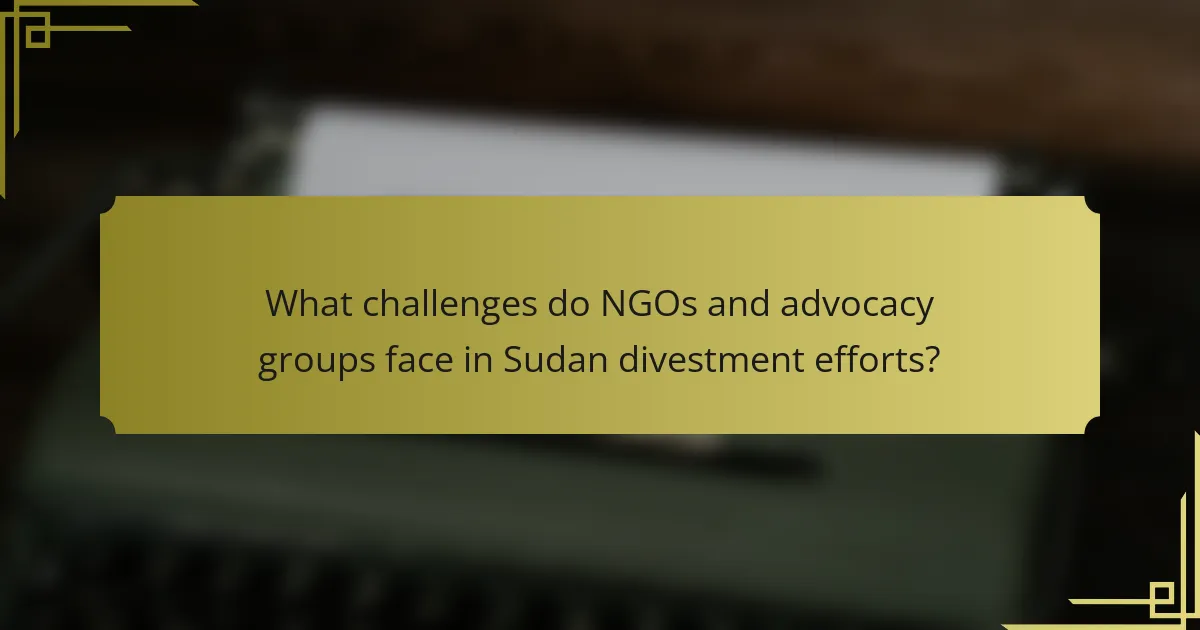 What challenges do NGOs and advocacy groups face in Sudan divestment efforts?