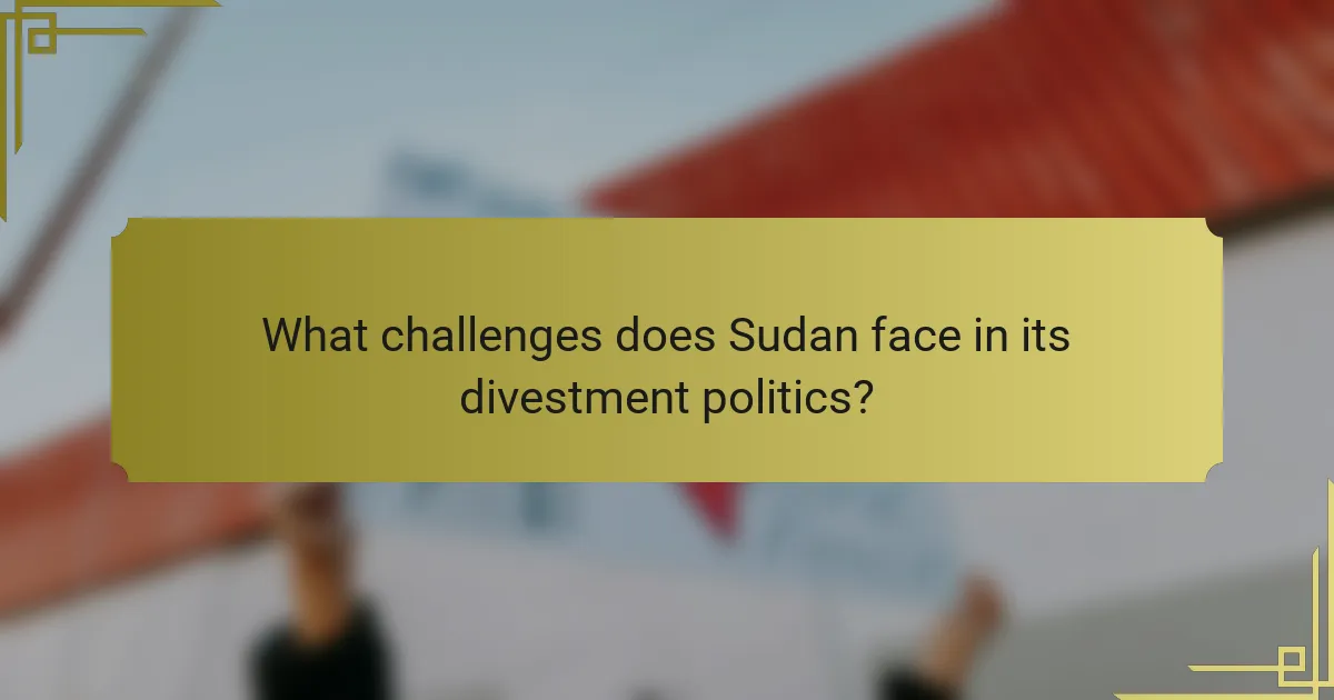 What challenges does Sudan face in its divestment politics?