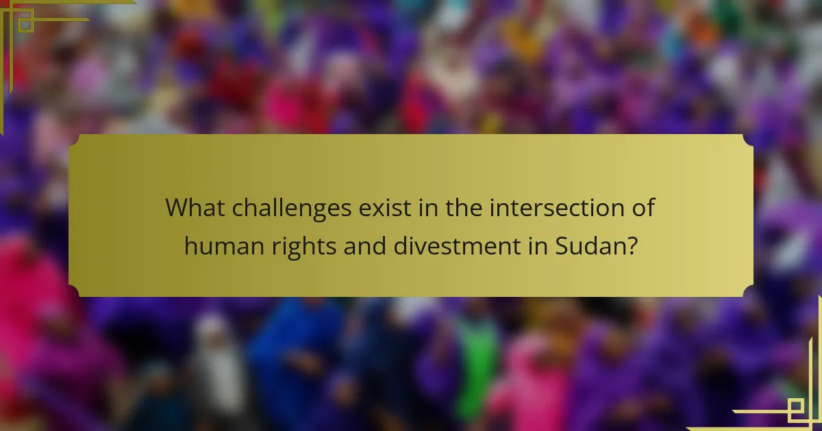 What challenges exist in the intersection of human rights and divestment in Sudan?