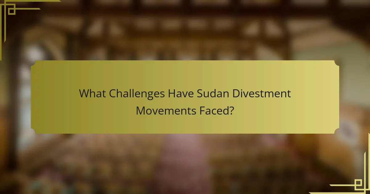 What Challenges Have Sudan Divestment Movements Faced?