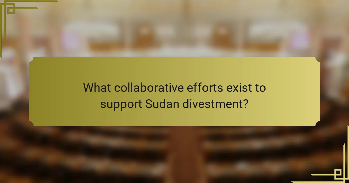 What collaborative efforts exist to support Sudan divestment?