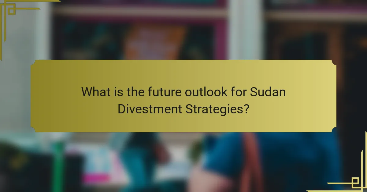 What is the future outlook for Sudan Divestment Strategies?