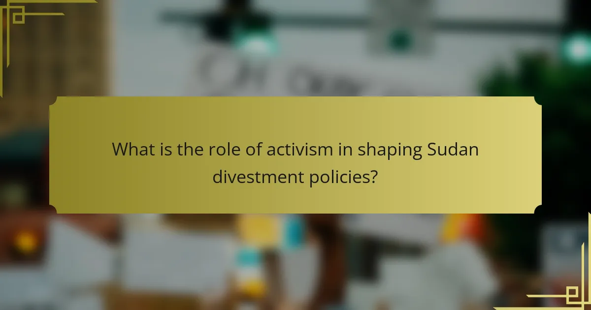 What is the role of activism in shaping Sudan divestment policies?