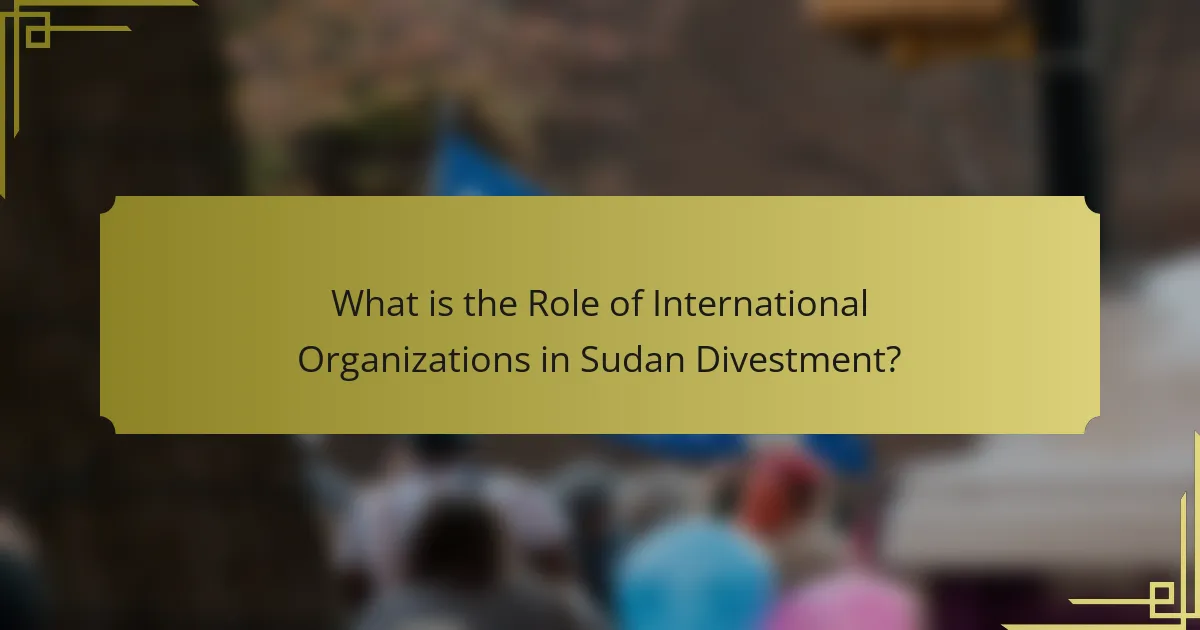 What is the role of international organizations in Sudan divestment?