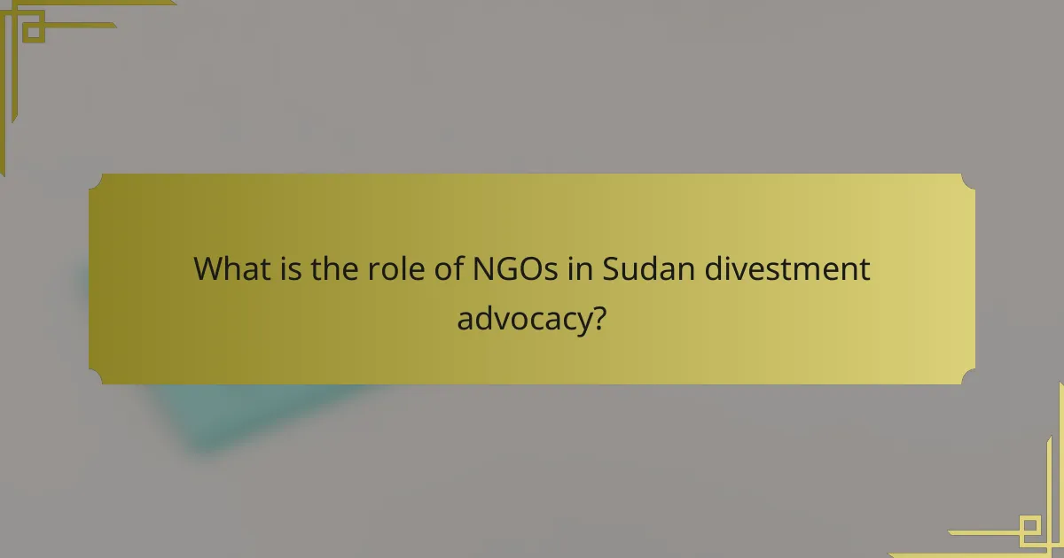 What is the role of NGOs in Sudan divestment advocacy?