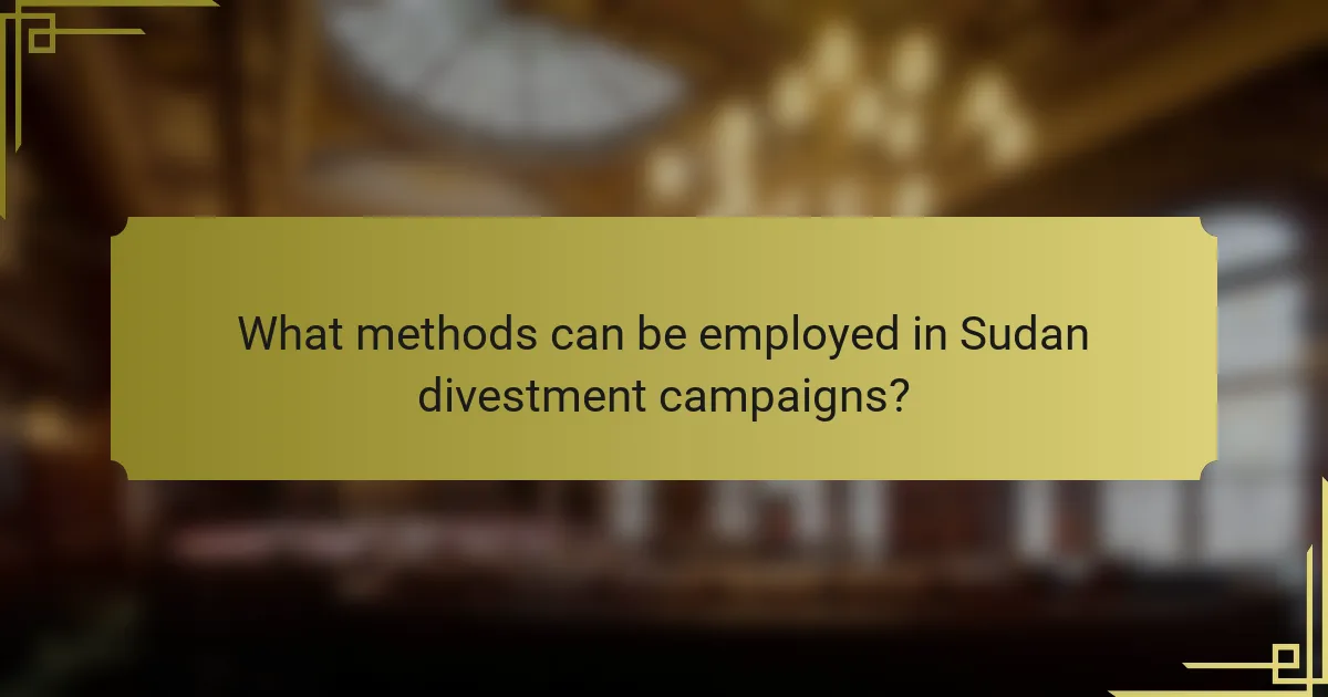 What methods can be employed in Sudan divestment campaigns?