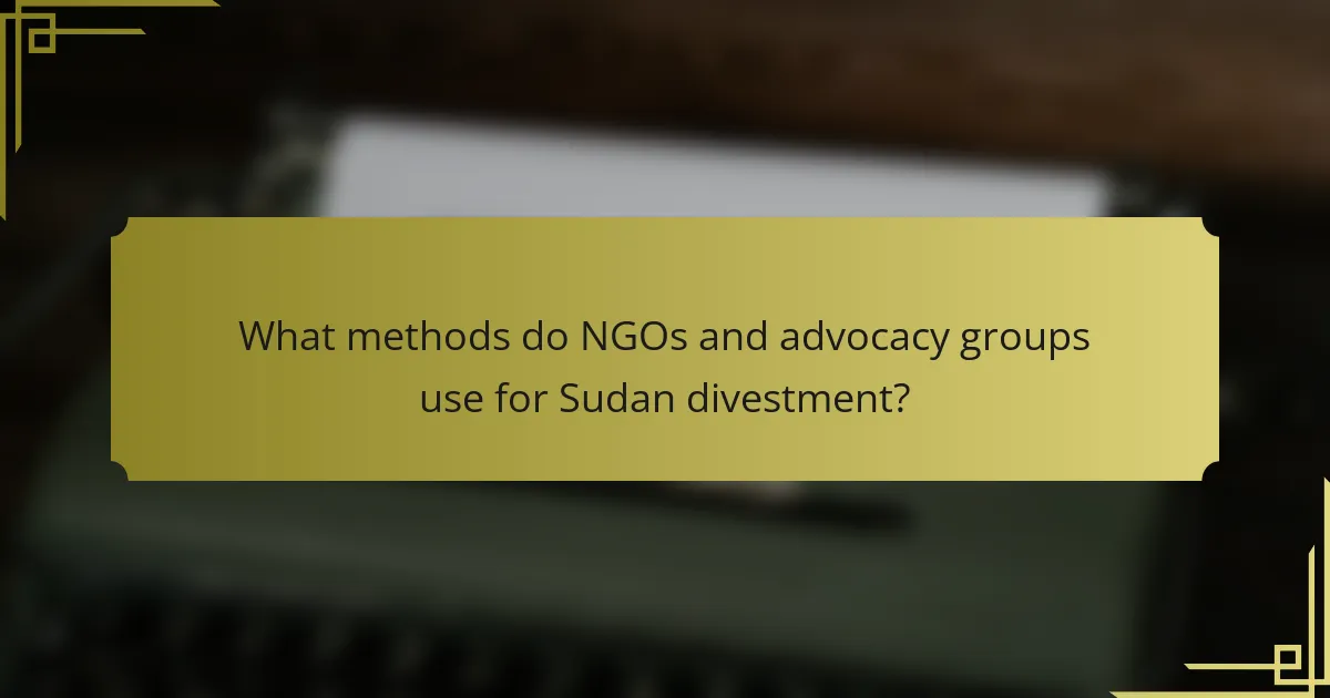 What methods do NGOs and advocacy groups use for Sudan divestment?