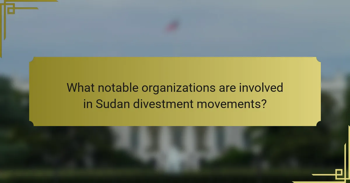 What notable organizations are involved in Sudan divestment movements?