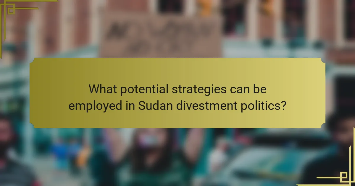 What potential strategies can be employed in Sudan divestment politics?
